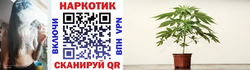Купить закладку Петушки ГАШИШ  Вейп ТГК  Кокаин  АМФЕТАМИН  МЕФ  А ПВП  Каннабис 