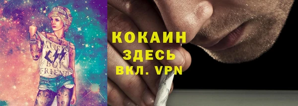 индика Нея