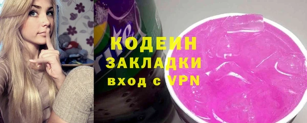 индика Нея