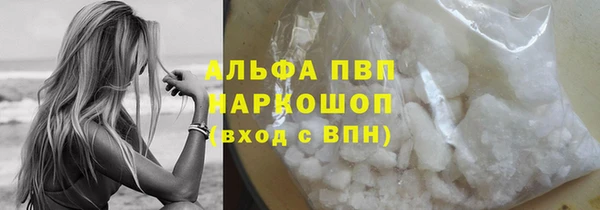 индика Нея