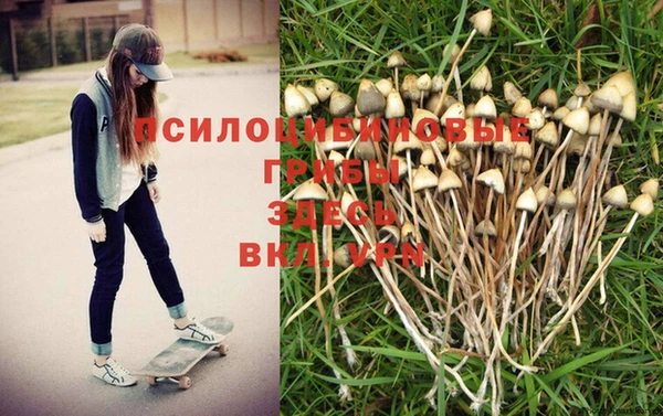 ALPHA-PVP Нефтегорск