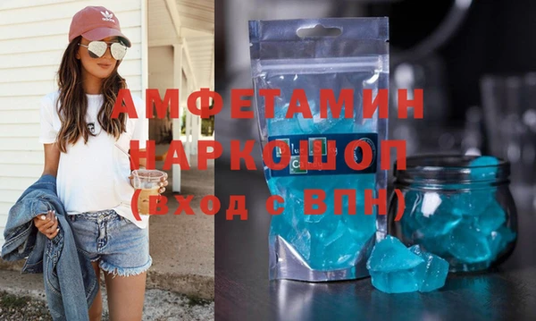 индика Нея
