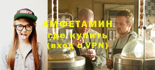 индика Нея