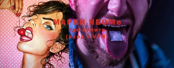 индика Нея