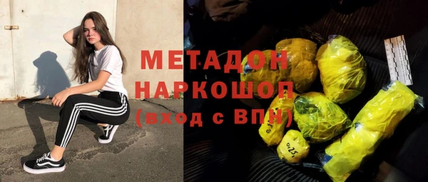 индика Нея